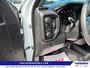 2024 Chevrolet Silverado 1500 Custom Trail Boss-13