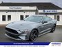 2023 Ford Mustang EcoBoost-0
