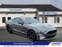 2023 Ford Mustang EcoBoost-6