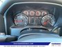 2015 GMC Sierra 1500 BASE-13