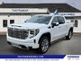 2022 GMC Sierra 1500 Denali-0