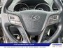 2017 Hyundai Santa Fe Sport Premium-13