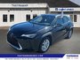 2021 Lexus UX 250h-0