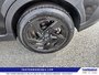 2025 Subaru Crosstrek Onyx-11