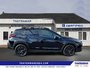 2025 Subaru Crosstrek Onyx-5