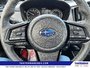 2025 Subaru Crosstrek Onyx-16