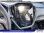 2025 Subaru Crosstrek Onyx-19