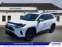 2021 Toyota RAV4 LE-0