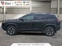 2019 Jeep Cherokee Trailhawk Elite