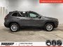 2019 Jeep Cherokee North