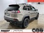 Jeep Cherokee Trailhawk Elite 2021