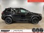 Jeep Cherokee Trailhawk Elite 2021