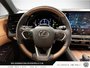 2024 Lexus RXH RX 350h-9