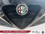 Alfa Romeo 4C Coupe 4C COUPE TRES BAS MILLAGE,CARBON , 2016-20