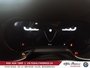 2025 Alfa Romeo GIULIA Tributo Italiano-14