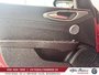 2025 Alfa Romeo GIULIA Tributo Italiano-11
