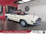 1981 Alfa Romeo SPIDER VELOCE Veloce-2