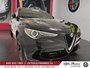 2019 Alfa Romeo Stelvio Quadrifoglio AWD-5