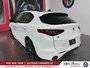 Alfa Romeo Stelvio Veloce 2022-3