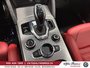 Alfa Romeo Stelvio  2025-19