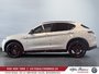 Alfa Romeo Stelvio  2025-4