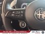 Alfa Romeo Stelvio Tributo 2025-14