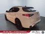 Alfa Romeo Stelvio Tributo 2025-3