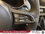 2025 Alfa Romeo Stelvio Tributo-13