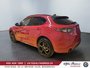 2025 Alfa Romeo Stelvio Tributo-3