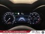 2025 Alfa Romeo Stelvio Intensa-18