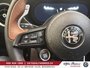 2025 Alfa Romeo Stelvio Intensa-17