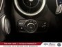 2025 Alfa Romeo Stelvio Intensa-24