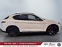 Alfa Romeo Stelvio  2025-4