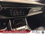 2026 Audi RS Q8 performance,HITCH.23P,CARBON PKGFULL-21