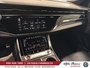 2026 Audi RS Q8 performance,HITCH.23P,CARBON PKGFULL-18