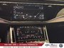 2026 Audi RS Q8 performance,HITCH.23P,CARBON PKGFULL-40