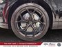 2026 Audi RS Q8 performance,HITCH.23P,CARBON PKGFULL-6