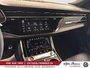 2026 Audi RS Q8 performance,HITCH.23P,CARBON PKGFULL-19