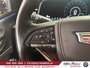 2023 Cadillac Escalade 4WD Sport Platinum,TV,SUPER CRUISE,FULL-18