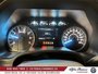 2019 Ford F-150 XLT 4WD SuperCrew,ECOBOOST-15