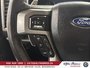 Ford F-150 Raptor,tres propre, aubaine 2020-14