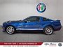 Ford Mustang Shelby GT500 2009-4