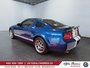 2009 Ford Mustang Shelby GT500-3