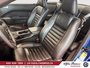 2009 Ford Mustang Shelby GT500-8