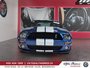 Ford Mustang Shelby GT500 2009-1