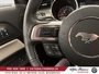 2015 Ford Mustang GT 50 Years Limited Edition,#703, NEUF COLLECTION-12