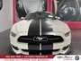 Ford Mustang GT 50 Years Limited Edition,#703, NEUF COLLECTION 2015-2