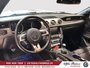 Ford Mustang GT Premium,MANUELLE,CONVERTIBLE,BAS MILLAGE 2015-13