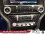 Ford Mustang GT Premium,MANUELLE,CONVERTIBLE,BAS MILLAGE 2015-35