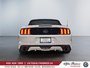 Ford Mustang GT Premium,MANUELLE,CONVERTIBLE,BAS MILLAGE 2015-3